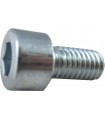 Tornillo cilíndrico M6x12